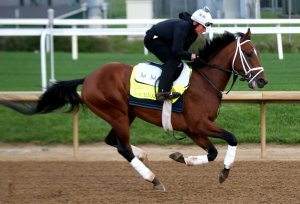 150th Preakness Stakes Draws Competitive Field Without Derby Winner