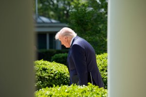 Trump unsure if immigrants have constitutional right to due process