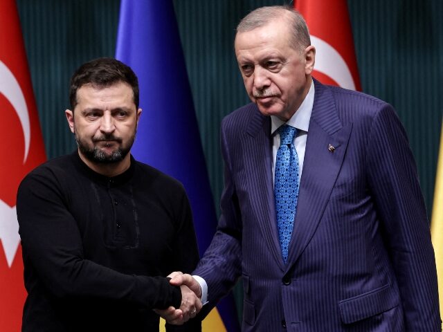 Turkey's President Recep Tayyip Erdogan (R) and Ukraine's President Volodymyr Ze