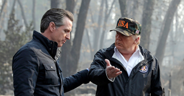 Donald Trump: California's Forest & Wildfire Management Is a 'Disaster'