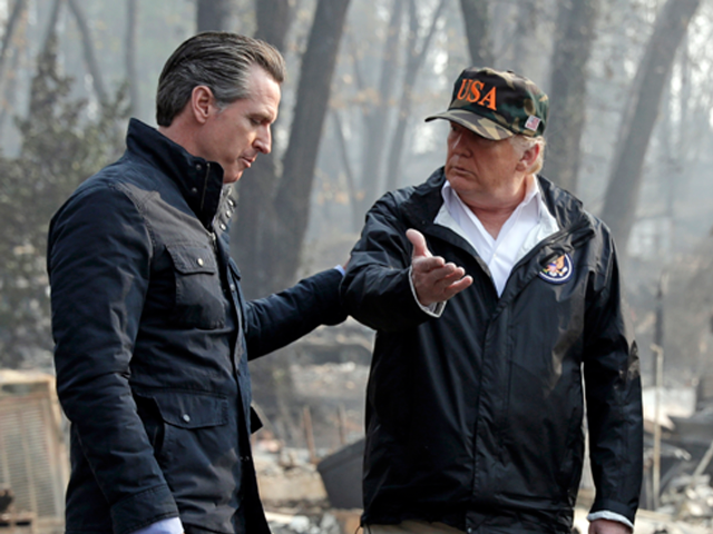 Donald Trump: California’s Forest & Wildfire Management Is a ‘Disaster’