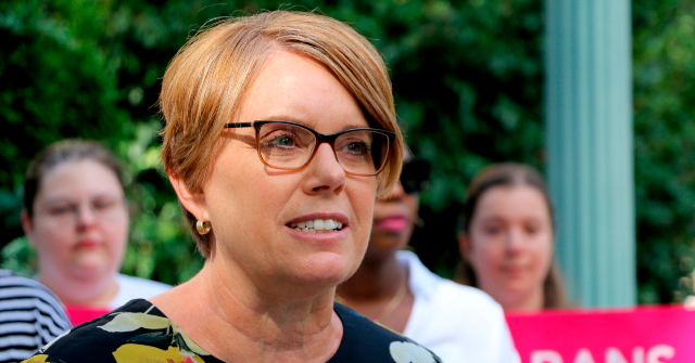 PHOTO: NC Democrat Lawmaker Julie von Haefen Posts Grisly Image of Severed Trump Head Beside Guillotine