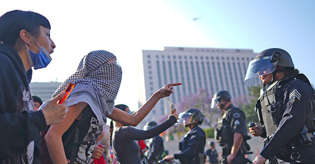 PHOTO: Top L.A. Official's Twins Accused of Assaulting Cop During Riots