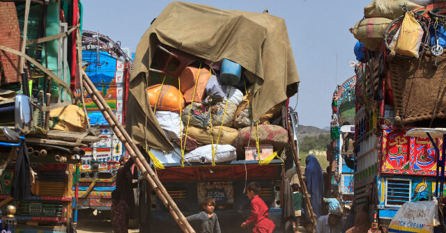 Taliban Claims over 5 Million Afghans Have Come Home amid Iran, Pakistan Mass Deportations