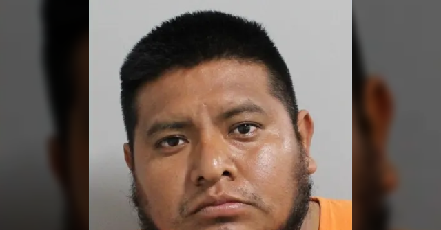 Illegal Migrant Accused of Crushing Co-Worker's Head with Heavy Machinery at Florida Construction Site