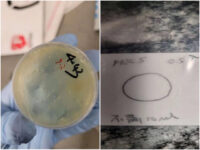 Chinese Alien Arrested, Charged with Smuggling Biological Materials and Making False Statements