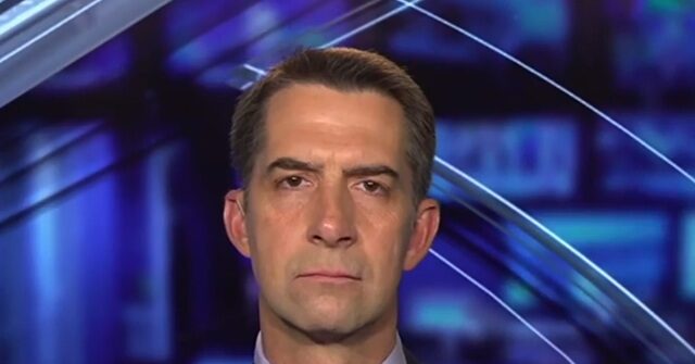 Cotton: Trump 'Right Not to Rule Out Any Option' on Iran