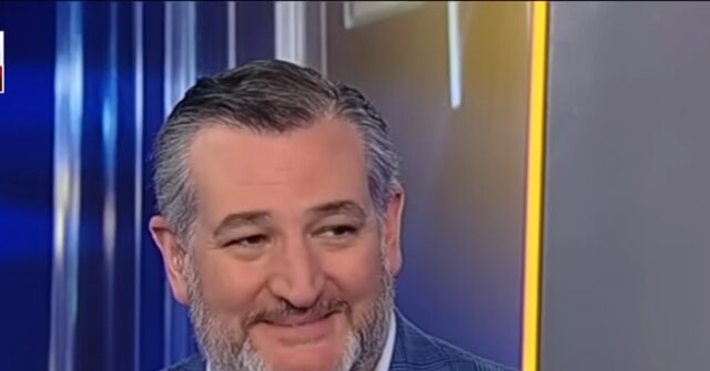 Cruz: Visa System Changes Needed in Wake of Boulder, CO Attack