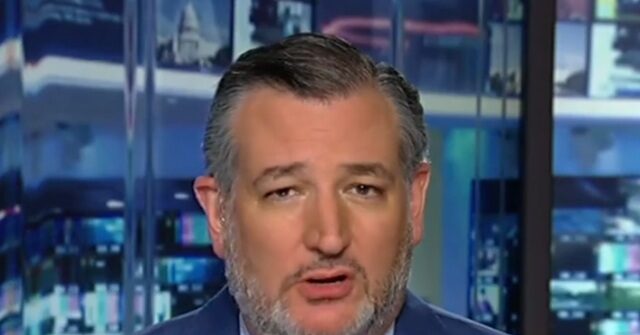 Cruz: The Democratic Party Is the 'Party that Embraces Violence'