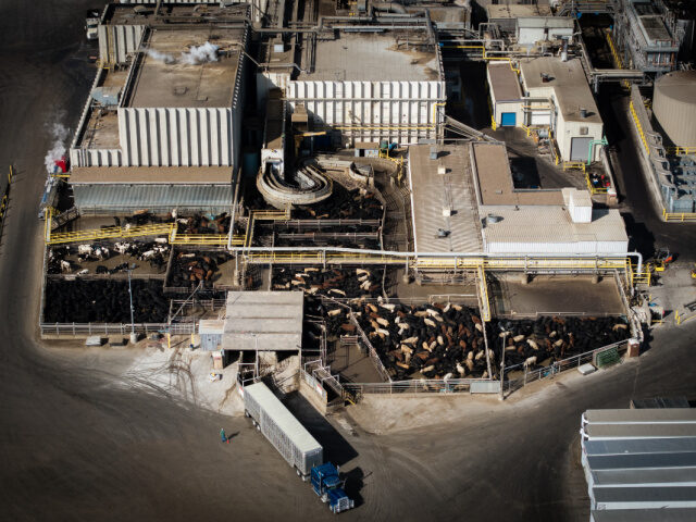 Cattle trucks offload livestock at the JBS Greeley meatpacking facility in Greeley, Colora