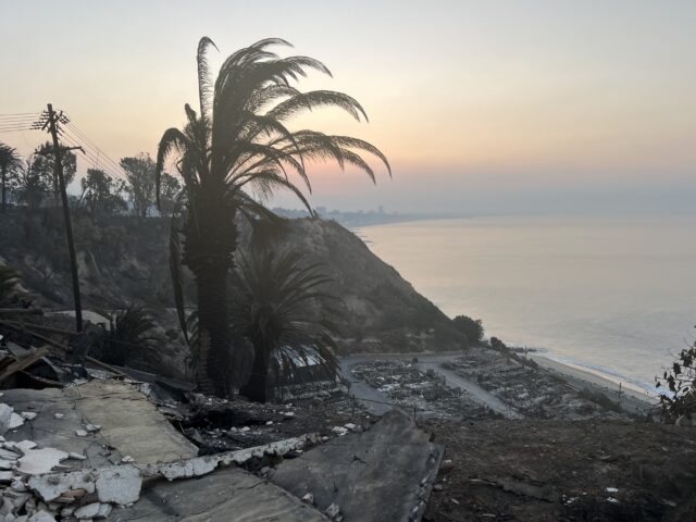 Devastated coast Palisades (Joel Pollak / Breitbart News)