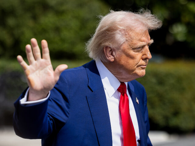 US President Donald Trump on the South Lawn of the White House before boarding Marine One