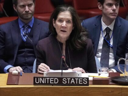 FILE - United States UN Ambassador Dorothy Shea addresses the United Nations Security Coun