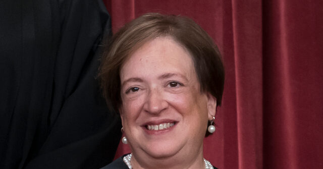 Justice Kagan: AR-15s are Commonly Owned by 'Ordinary Consumers'