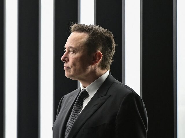 Elon Musk’s Tesla Suffers Dismal Sales Slump in Europe – but Shines in Norway