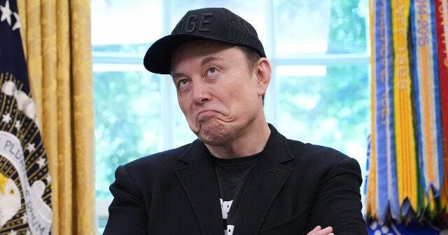 Longtime Tesla Supporter Criticizes Elon Musk for Attacking Trump's Big Beautiful Bill