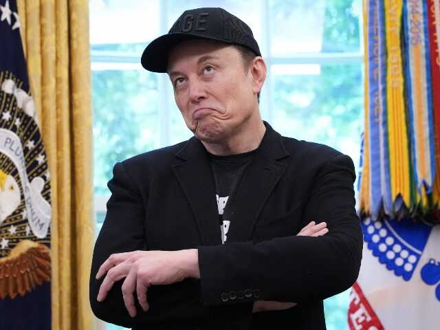 Longtime Tesla Supporter Criticizes Elon Musk for Attacking Trump’s Big Beautiful Bill