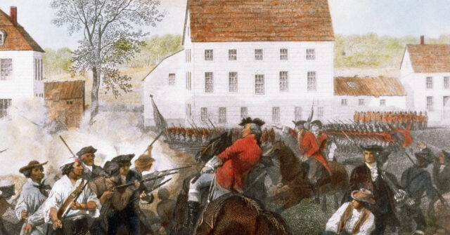 MI Senator: Dems' 'Ghost Gun' Ban Would Have Stifled American Revolution