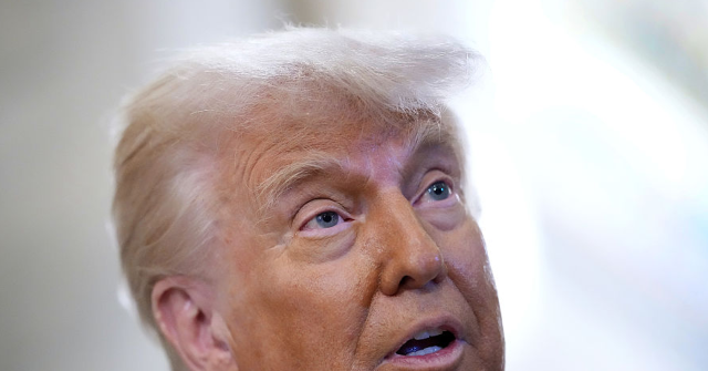 Donald Trump, Democrats Charge Each Other With Creating 'Chaos' in Los Angeles