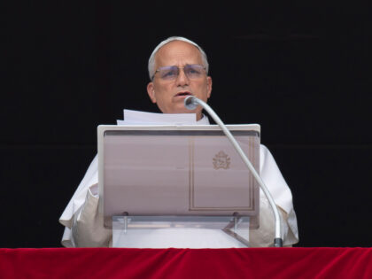 VATICAN CITY, VATICAN - JUNE 22: (EDITOR NOTE: STRICTLY EDITORIAL USE ONLY - NO MERCHANDIS