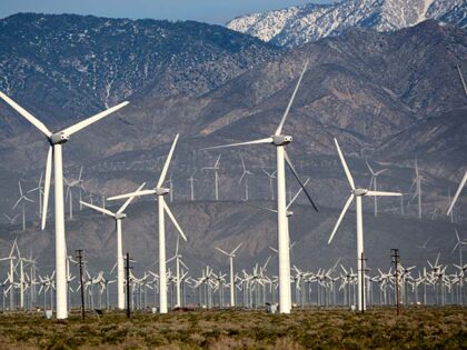 Trump Says No More Windmills, Calls Them ‘Bullsh*t’ and a Blight on Our ‘Beautifu