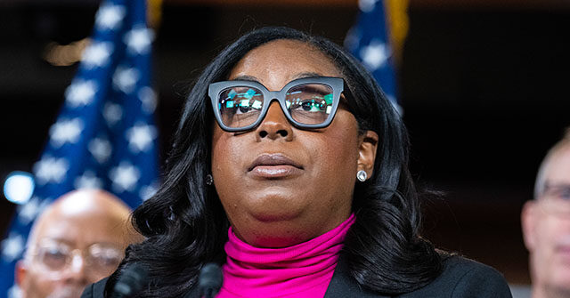 LaMonica McIver to Plead Not Guilty After Altercation at ICE Facility