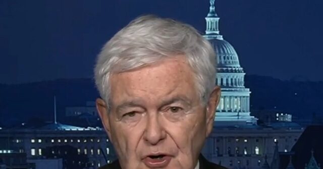 Gingrich: Trump, Netanyahu Will 'Change History Decisively'