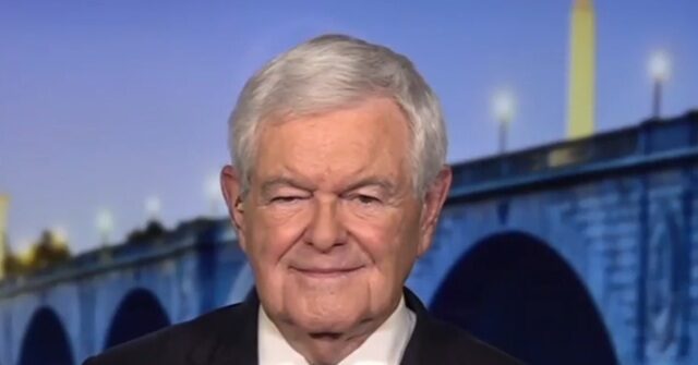 Gingrich on Trump-Musk Feud: 'This Is the Soap Opera Phase of American Politics'