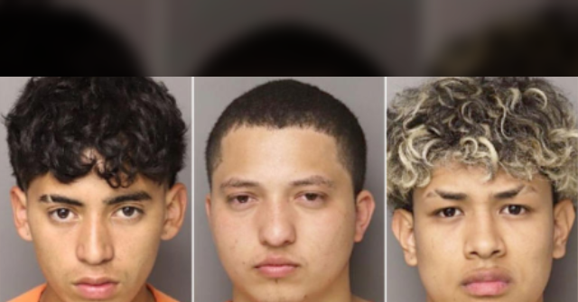 Former AG: Chilling Texts Between 6 Illegals After Alleged Murder of SC Mom Show 'No Remorse'