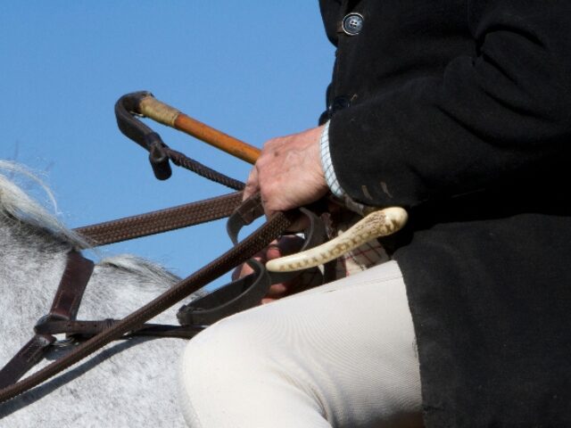 A man in hunting jacket and breeches, with riding crop seated on horseback.