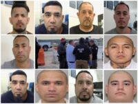 142 Criminal Aliens with 473 Convictions Deported from Houston to Mexico