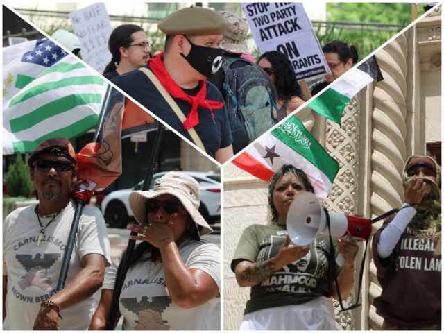 Flags of many nations displayed at anti-ICE protest in San Antonio. (Randy Clark/Breitbart