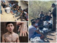 Zero Migrants Admitted to U.S. After Illegally Crossing Border in May — Apprehensions Dropped