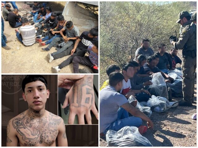 Zero Migrants Admitted to U.S. After Illegally Crossing Border in May — Apprehensions Dropped