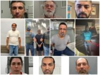 DHS: 11 Iranian Nationals Arrested Across U.S. over Weekend