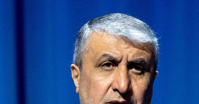 Iran’s Atomic Energy Chief Wants to Restore Nuclear Industry After Airstrikes