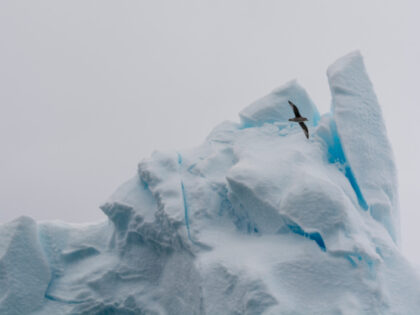 Detail of an iceberg at Austfonna ice cap. Nordaustlandet, Svalbard, Norway. (Photo by: Se