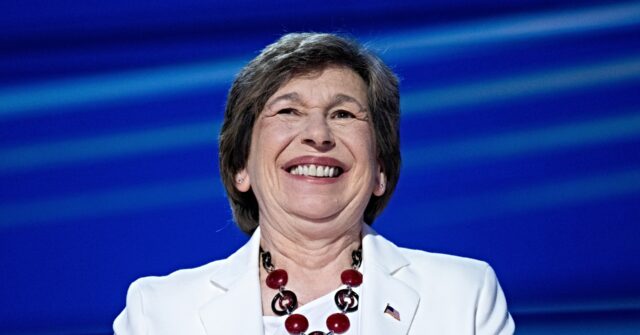 Nolte: Corporate Media Covered up Randi Weingarten’s DNC Conflict of Interest for 23 Years