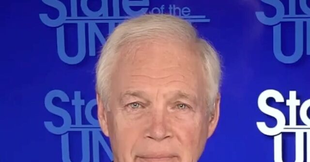 GOP Sen. Johnson: We Should Break Up Some Health Organizations Like We Did with AT&T