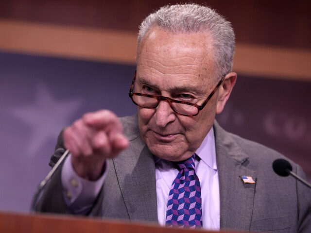 Spiteful Schumer U.S. Senate Minority Leader Charles Schumer (D-NY) speaks at a press conference at the U.S