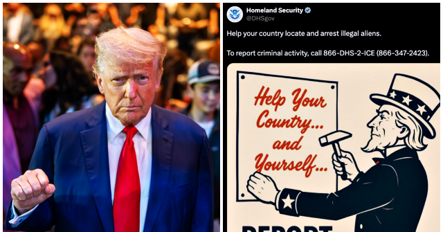 Trump's DHS Advertises Tip Line to Report Illegals in Midst of LA Riots