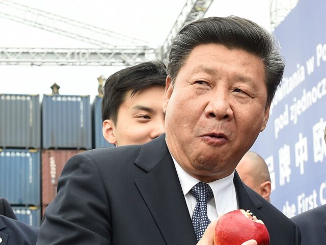 Report: Xi Jinping to Miss BRICS Summit for First Time Ever After Bloc Fails Member Iran