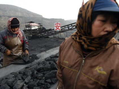 TOPSHOT - In this photo taken on November 20, 2015, workers sort coal on a conveyer belt,