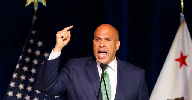 WATCH: Dem. Booker Makes 'Gesture' But Musk Accused of 'Nazi Salute'