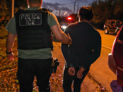 Immigration and Customs Enforcement (ICE)
