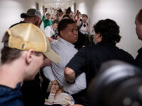 Elite-Backed Street Activists Harass ICE in New York Court Buildings
