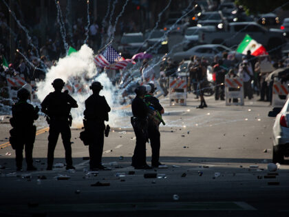08 June 2025, US, Los Angeles: A picture made available on June 11, 2025 shows demonstrato