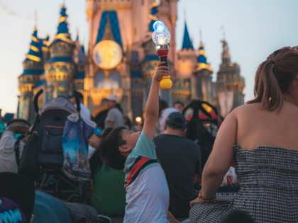 People Enjoying the Magic Kingdom Moment in Disney World