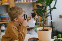 NJ to Consider Bill that Would Mandate Monitoring and Publishing Data of Homeschoolers