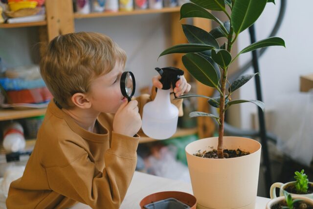 NJ to Consider Bill that Would Mandate Monitoring and Publishing Data of Homeschoolers